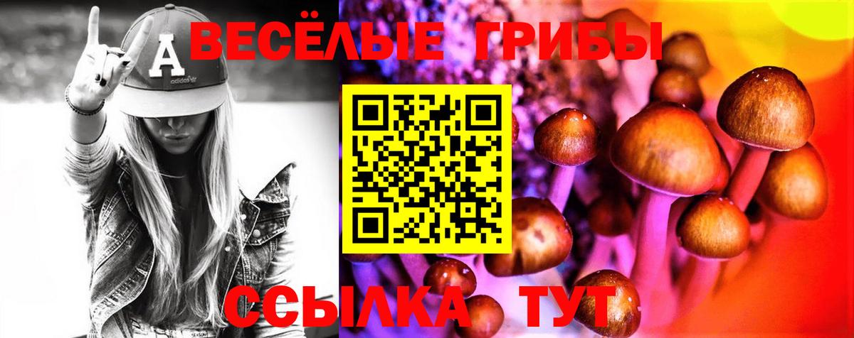 Киреевск  Галлюциногенные грибы GOLDEN TEACHER  Вход с VPN  Галлюциногенные грибы Psilocybine cubensis 